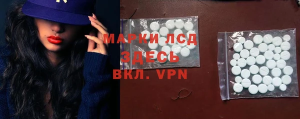 дмт Вяземский