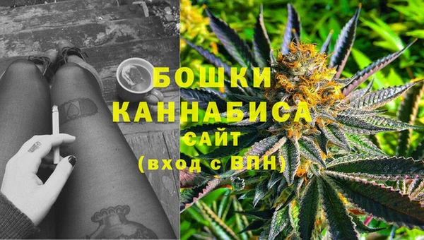 дмт Вяземский
