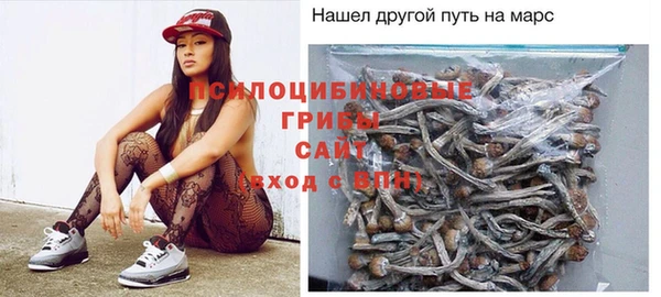 дмт Вяземский